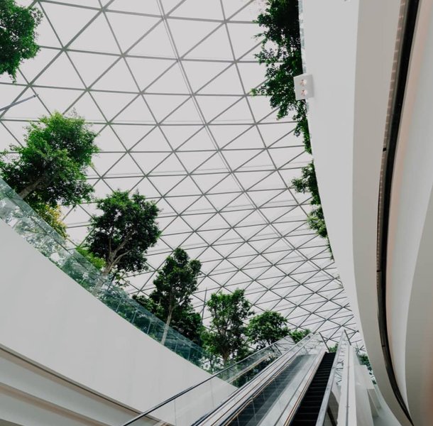 Glazed atrium ceiling with planting and curved walkway.